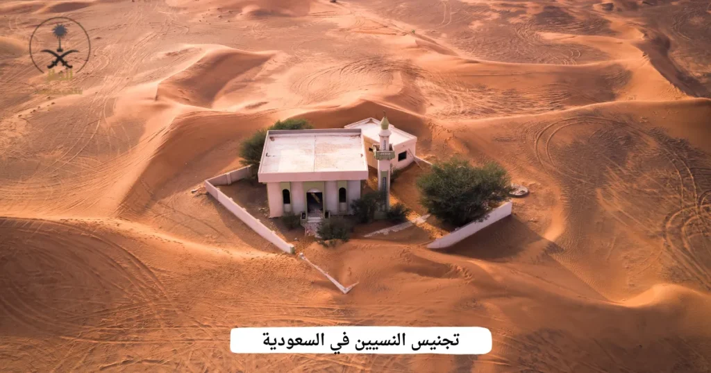 تجنيس النسيين في السعودية